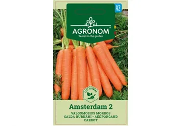 Sēklas: Burkāni galda AMSTERDAMMER 2