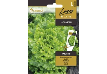 Sēklas: Salāti MELVINE gab.