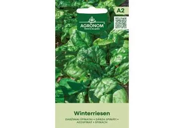 Aedspinat Winterriesen