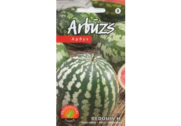 Arbuus Bedouin