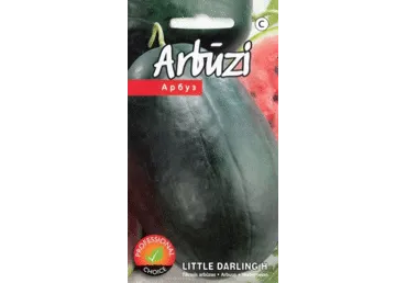 Arbuus Little Darling H