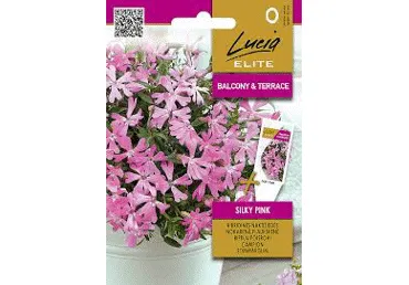 Sēklas.Naktssveces Silky Pink  gab.