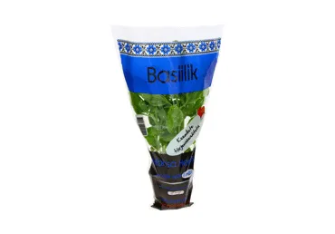 Basiilik potis HANSA HERBS