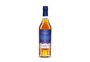 Brendijs TBILVINO BRANDY 5YO 40% 0,5L