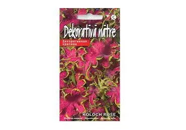 Dekoratiivnõges Koloch Rose