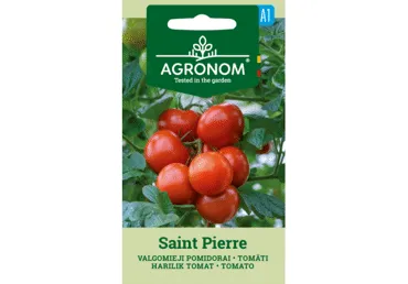 Sēklas: Tomāti SAINT PIERRE gab.