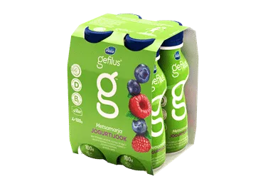 Jog.jook GEFILUS metsamarja ., 4x100g