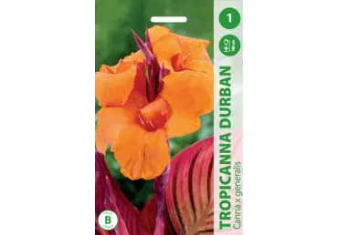 Kanna  Tropicanna Durban