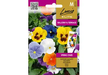 Sēklas: Atraitnītes SPRING STARS gab.