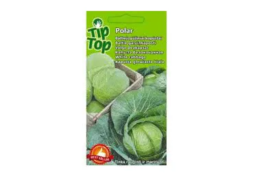 Kapsas Cour Di Bue Grosso