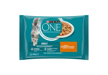 Kiisueine kanaga ONE ADULT 4x85g