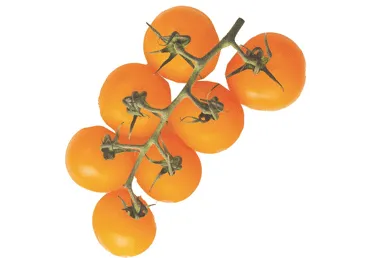 Kobartomat oranž 2.kl.,kg