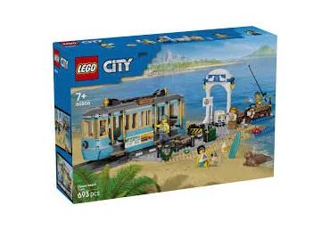 Konstruktor LEGO Rannatramm 60506