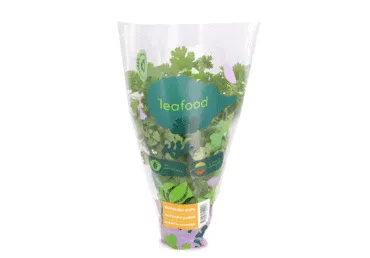 Koriander potis LEAFOOD