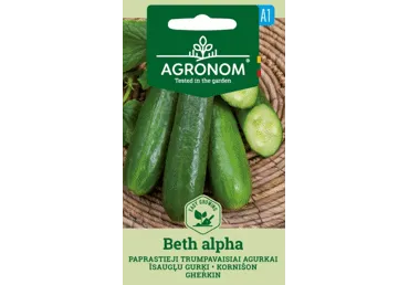 Kornišon Beth Alpha