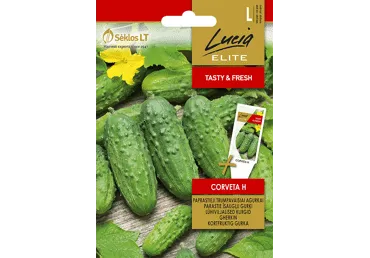 Kornišon  Corveta H