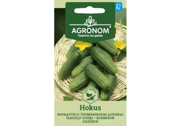 Kornišon  Hokus