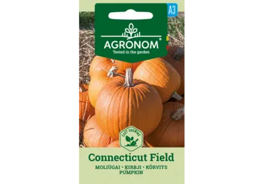 Sēklas: Ķirbis CONNECTICUT FIELD gab.