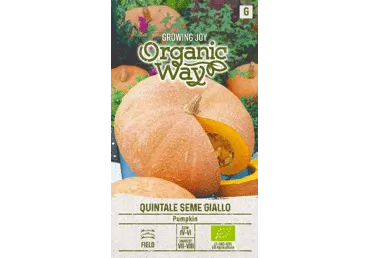 Sēklas: Ķirbis QUINTALE SEME GIALLO gab.