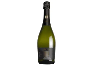 Kaitstud päritolunimetusega vahuvein Botter Prosecco Rose 0,75l