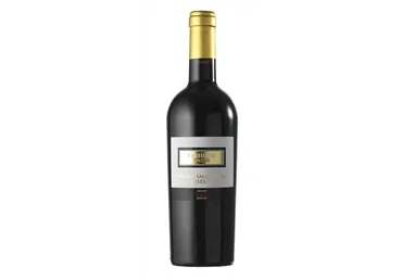 KPN vein PASSIONE S.Salentino 750ml