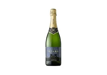 KPN v.vein PERELADA CavaStars Brut 750ml