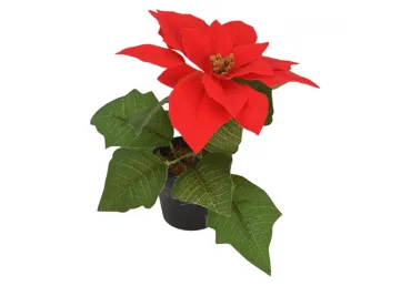 Mākslīgā puansetija podiņā KOOPMAN D19cm