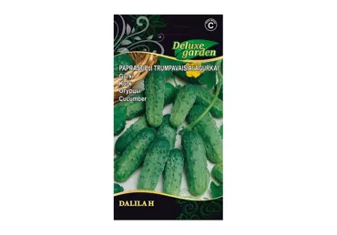 Kurk Dalila H