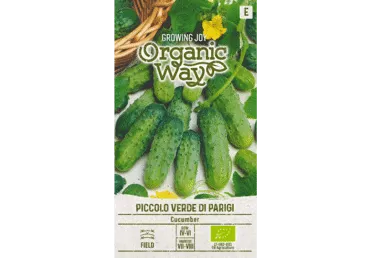 Kurk Piccolo Verde Di Parigi