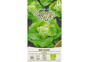 Lehtsalat Lettuce May Queen