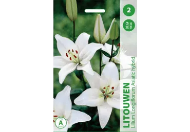 Liilia Litouwen 2tk