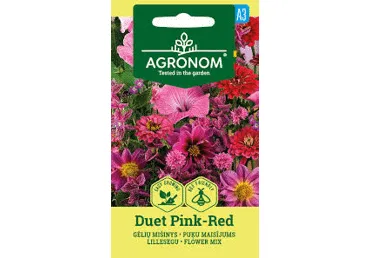 Lillede segu Duet Pink Red