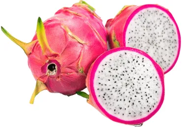 Pitaija sarkana gab.