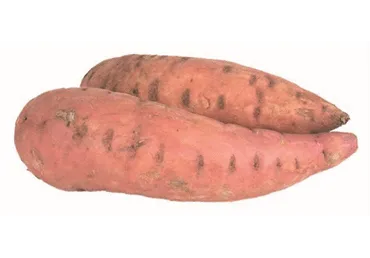 Magus kartul (Bataat), kg