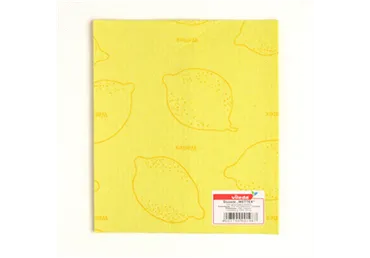 Majapidamislapp VILEDA