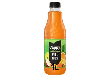 Multivitamiininektar CAPPY 1L, PET
