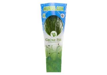 Murulauk GRÜNE FEE