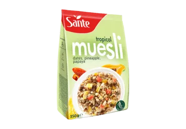 Müsli troop.puuviljadega SANTE 350g