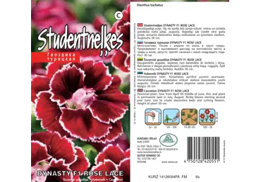 Nelk Dynasty F1 Rose