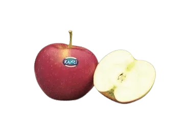 Õun Kanzi 1kl., kg