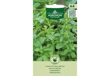 Paleju Mint