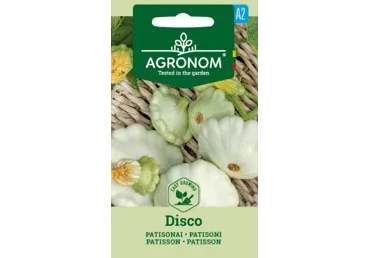 Patisson Disco