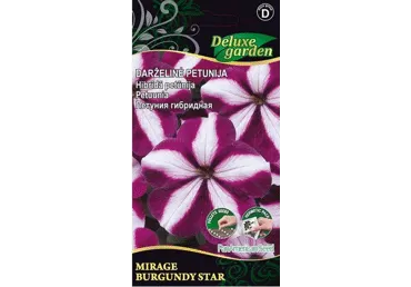 Petuunia Burgundy Star