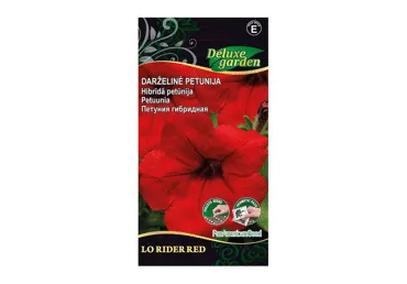 Petuunia Lo Rider red