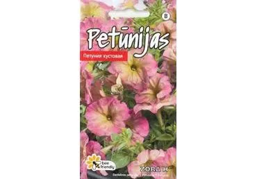 Petuunia Zora H