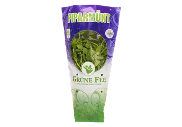 90811 piparmünt