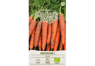 Sēklas: Burkāni galda AMSTERDAM 2 gab.