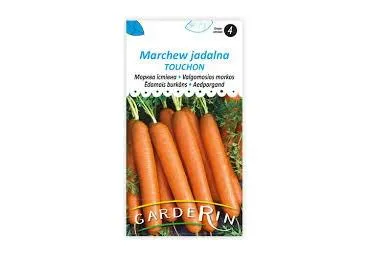 Porgandi Touchon,keskmine, varajane