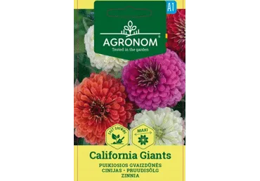 Pruudisõlg  California giants