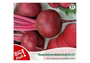 Sēklas: Bietes BORDO237 gab.